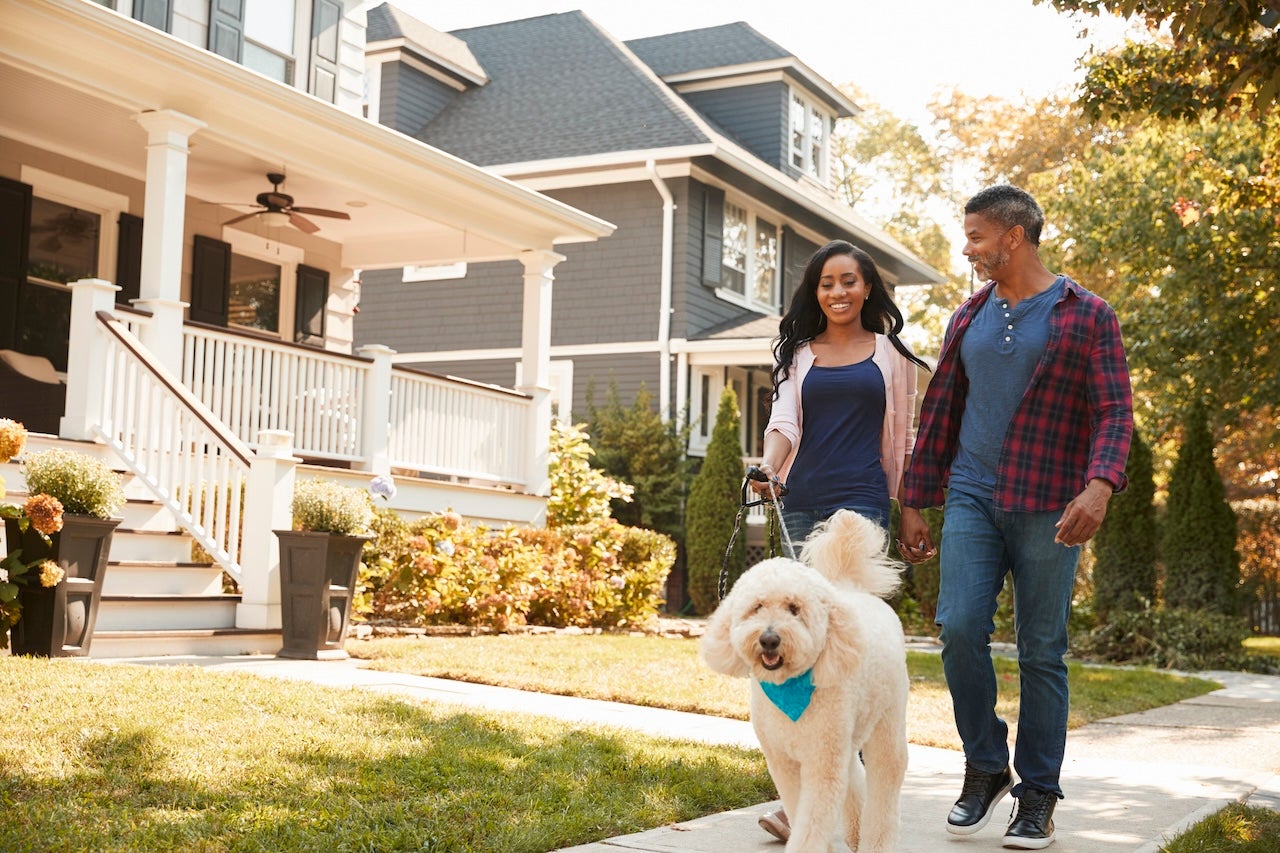 couple walking a white dog along suburban street